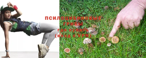 круглые Вязьма