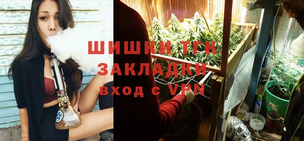 марки nbome Вяземский
