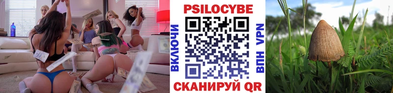 Купить закладки  Пролетарск  Псилоцибиновые грибы ЛСД 
